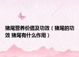 猪尾营养价值及功效（猪尾的功效 猪尾有什么作用）