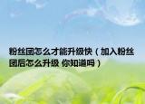 粉丝团怎么才能升级快（加入粉丝团后怎么升级 你知道吗）