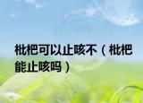 枇杷可以止咳不（枇杷能止咳吗）