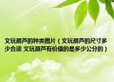 文玩葫芦的种类图片（文玩葫芦的尺寸多少合适 文玩葫芦有价值的是多少公分的）