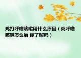 鸡打呼噜咳嗽用什么原因（鸡呼噜咳嗽怎么治 你了解吗）