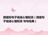 微信短句子说说心情短语（微信句子说说心情短语 句句经典）