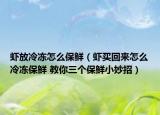虾放冷冻怎么保鲜（虾买回来怎么冷冻保鲜 教你三个保鲜小妙招）