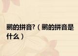 鹂的拼音?（鹂的拼音是什么）