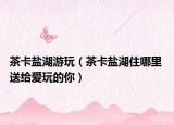 茶卡盐湖游玩（茶卡盐湖住哪里 送给爱玩的你）