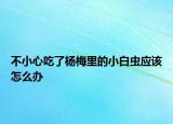 不小心吃了杨梅里的小白虫应该怎么办
