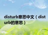 disturb意思中文（disturb的意思）