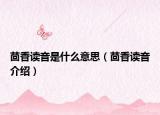 茴香读音是什么意思（茴香读音介绍）
