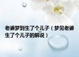 老婆梦到生了个儿子（梦见老婆生了个儿子的解说）