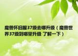 魔兽怀旧服37级去哪升级（魔兽世界37级到哪里升级 了解一下）