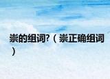 崇的组词?（崇正确组词）