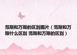 范斯和万斯的区别图片（范斯和万斯什么区别 范斯和万斯的区别）
