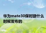 华为mate30保时捷什么时候发布的