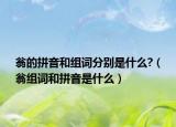 翁的拼音和组词分别是什么?（翁组词和拼音是什么）