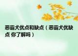 恶霸犬优点和缺点（恶霸犬优缺点 你了解吗）