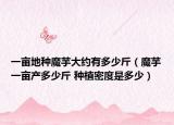 一亩地种魔芋大约有多少斤（魔芋一亩产多少斤 种植密度是多少）