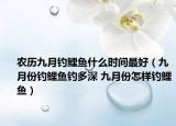 农历九月钓鲤鱼什么时间最好（九月份钓鲤鱼钓多深 九月份怎样钓鲤鱼）