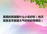 属猪的男孩取什么小名好听（姓沃男孩名字属猪大气好听的有哪些）