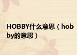 HOBBY什么意思（hobby的意思）