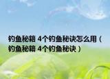 钓鱼秘籍 4个钓鱼秘诀怎么用（钓鱼秘籍 4个钓鱼秘诀）