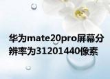 华为mate20pro屏幕分辨率为31201440像素