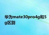 华为mate30pro4g和5g区别