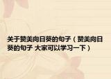 关于赞美向日葵的句子（赞美向日葵的句子 大家可以学习一下）