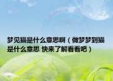 梦见猫是什么意思啊（做梦梦到猫是什么意思 快来了解看看吧）