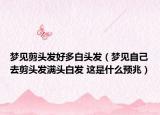 梦见剪头发好多白头发（梦见自己去剪头发满头白发 这是什么预兆）