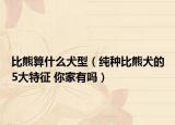 比熊算什么犬型（纯种比熊犬的5大特征 你家有吗）