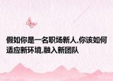 假如你是一名职场新人,你该如何适应新环境,融入新团队