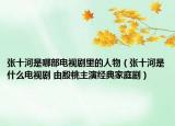 张十河是哪部电视剧里的人物（张十河是什么电视剧 由殷桃主演经典家庭剧）