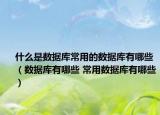 什么是数据库常用的数据库有哪些（数据库有哪些 常用数据库有哪些）