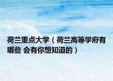 荷兰重点大学（荷兰高等学府有哪些 会有你想知道的）