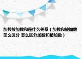 加数被加数和是什么关系（加数和被加数怎么区分 怎么区分加数和被加数）