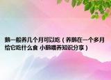 鹅一般养几个月可以吃（养鹅在一个多月给它吃什么食 小鹅喂养知识分享）