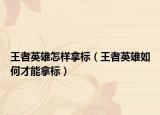 王者英雄怎样拿标（王者英雄如何才能拿标）