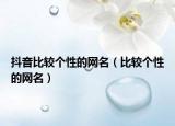 抖音比较个性的网名（比较个性的网名）
