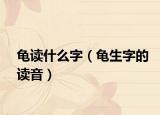 龟读什么字（龟生字的读音）