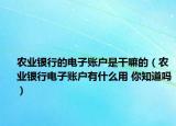 农业银行的电子账户是干嘛的（农业银行电子账户有什么用 你知道吗）