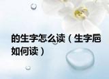 的生字怎么读（生字巵如何读）
