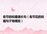 春节的祝福语长句（春节后的祝福句子有哪些）