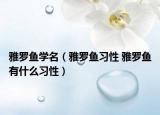 雅罗鱼学名（雅罗鱼习性 雅罗鱼有什么习性）