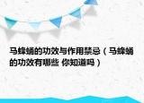 马蜂蛹的功效与作用禁忌（马蜂蛹的功效有哪些 你知道吗）