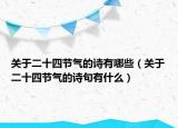 关于二十四节气的诗有哪些（关于二十四节气的诗句有什么）