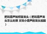 把玩葫芦如何留龙头（把玩葫芦龙头怎么处理 文玩小葫芦的龙头加固）