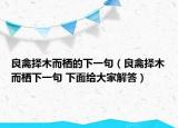 良禽择木而栖的下一句（良禽择木而栖下一句 下面给大家解答）