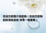 在远方剧情介绍霍梅（在远方霍梅的扮演者是谁 快来一起看看）