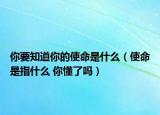你要知道你的使命是什么（使命是指什么 你懂了吗）