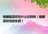 螳螂最喜欢吃什么东西呀（螳螂喜欢吃的东西）